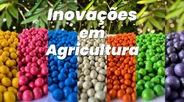 Sementes que revolucionam o cultivo de cebolas