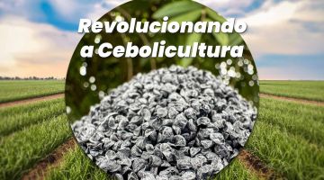 Revolucionando a Cebolicultura com Sementes Revestidas da Agritu