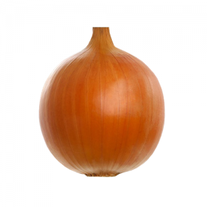 Cebola SCS379 Robusta